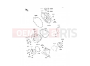 KAWASAKI 2007 Engine Cover(s)