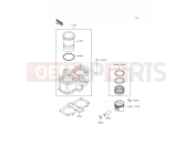 Cylinder/Piston(s) - Kawasaki KLE500 (KLE500-A10) 2000