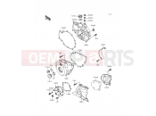 Engine Cover(s) - Kawasaki KLE500 (KLE500-A10) 2000