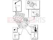 Engine Electric System - MV Agusta 2002 F4 750 SENNA