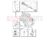 Lubrication System - MV Agusta 2007 F4 Claudio Castiglioni