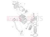 MV AGUSTA 2012 F4 R Lubrication System