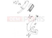 EXHAUST SYSTEM - KTM 65 SX (600126) [EU] 2002