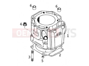 KTM 640 LC4-E SILBER/18,5Lt (972607) [EU] 2000 CYLINDER