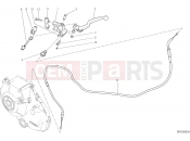 DUCATI 2019 Monster 797+ CLUTCH CONTROL [MOD:M 797]