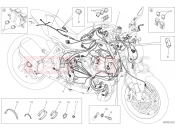 DUCATI 2019 Monster 1200 WIRING HARNESS [MOD:M 1200]