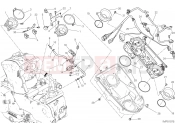 DUCATI 2019 Monster 821 THROTTLE BODY [MOD:M 821]