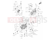 KAWASAKI MULE PRO-MX (KAF700BLF) Crankcase