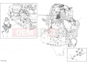 DUCATI 2021 Panigale V4 ENGINE ELECTRIC SYSTEM [MOD:PANV4]