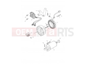 Triumph 2004 DAYTONA 600 & 650 Starter & Alternator