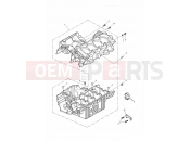 Triumph 2004 DAYTONA 600 & 650 Crankcases