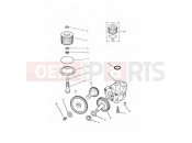 Triumph 1992 TRIDENT Lubrication System
