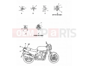 Triumph 1995 SPEED TRIPLE (CARBS) Bodywork Fixings