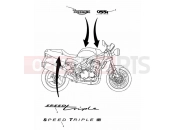 Triumph 2000 SPEED TRIPLE 885cc\955cc (EFI) > 141871 Bodywork Decals 955cc Engine