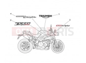 Triumph 2012 SPEED TRIPLE 461332 > 735437 Decals 657553