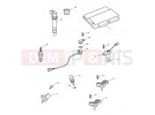 TRIUMPH SPEED TRIPLE 461332 > 735437 Engine Management System