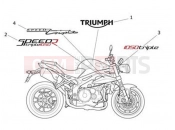 TRIUMPH SPEED TRIPLE R > 735336 Decals 657553