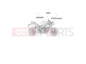 TRIUMPH SPEED TRIPLE R - 735337 > Decals & Badges