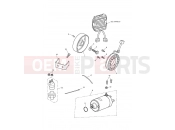 TRIUMPH SPEED TRIPLE RS - 867601 > Starter & Alternator