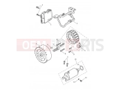 TRIUMPH TRIDENT 660 Alternator & Starter