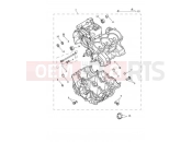 TRIUMPH TRIDENT 660 Crankcase & Fittings