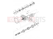 TRIUMPH TIGER EXPLORER XC 740277 > Transmission
