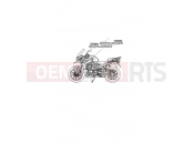 Triumph 2015 Tiger Explorer > 740276 TIGER EXPLORER Decals & Badges