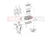 Triumph 2019 THRUXTON R Cylinder Head & Valves