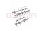 TRIUMPH SPRINT CARBS Transmission
