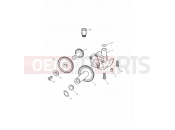 TRIUMPH SPRINT RS > 139276 Oil Pump/Drive