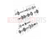 Transmission - Triumph SPRINT ST > 139276 1999