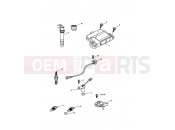 TRIUMPH SPRINT ST 208167 > Engine Management System