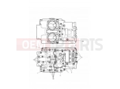 TRIUMPH THUNDERBIRD COMMANDER Crankcase Bolts