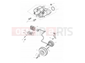 Triumph 2011 THUNDERBIRD STORM Starter & Alternator