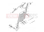Oil Cooler - Triumph BONNEVILLE T100 EFI 2012