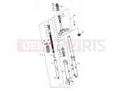 Front Forks & Lower Yoke - Triumph BONNEVILLE T100 EFI 2012