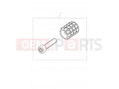 Triumph 2020 STREET SCRAMBLER Machined Gear Peg