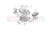 Triumph 2021 SCRAMBLER 1200 XC Crankcase & Fittings