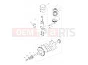 Crankshaft, Connecting Rods... - Triumph Tiger 800 > 674841 TIGER 800 2014