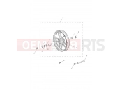 Front Wheel - Triumph Tiger 800 > 674841 TIGER 800 2011