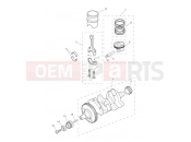 Crankshaft, Connecting Rods... - Triumph TIGER 800 XRT 855532 > 2019