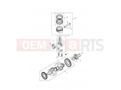 TRIUMPH SPEEDMASTER CARBS Crankshaft,Conn Rods 211132