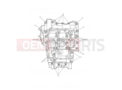 TRIUMPH TIGER 900 GT Crankcase Bolts