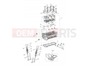 Triumph 2021 TIGER 1200 XCA Cylinder Head & Valves