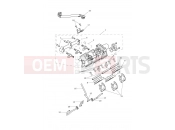 Triumph 2020 TIGER 1200 XR Throttles, Injectors...