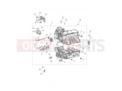 Triumph 2021 TIGER 1200 XRT Crankcase & Fittings