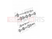 Triumph 1994 TROPHY > 29155 Transmission