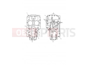 TRIUMPH SCRAMBLER CARB Crankcase Bolts