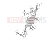 Triumph 2007 SCRAMBLER EFI Oil Cooler