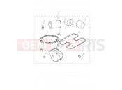Triumph 2007 SCRAMBLER EFI Service Kit Eng No 456551